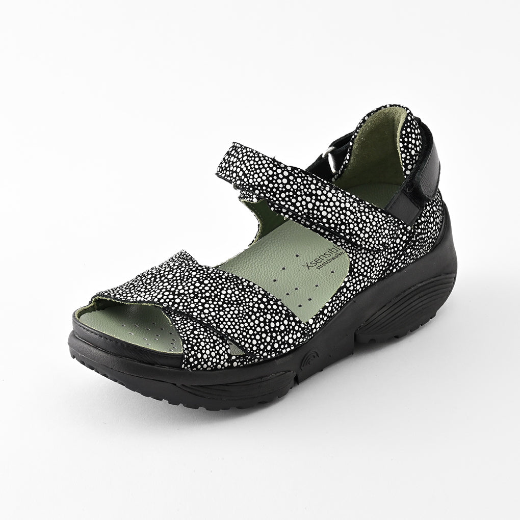 JUNO(ジュノー) 31001 ブラックドット　Stretch Walker