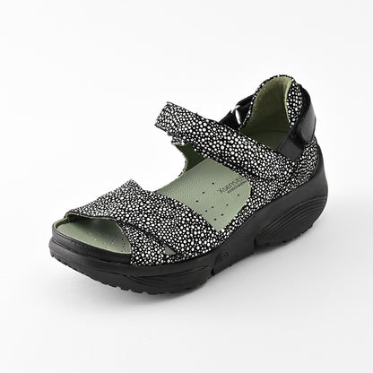 JUNO(ジュノー) 31001 ブラックドット　Stretch Walker