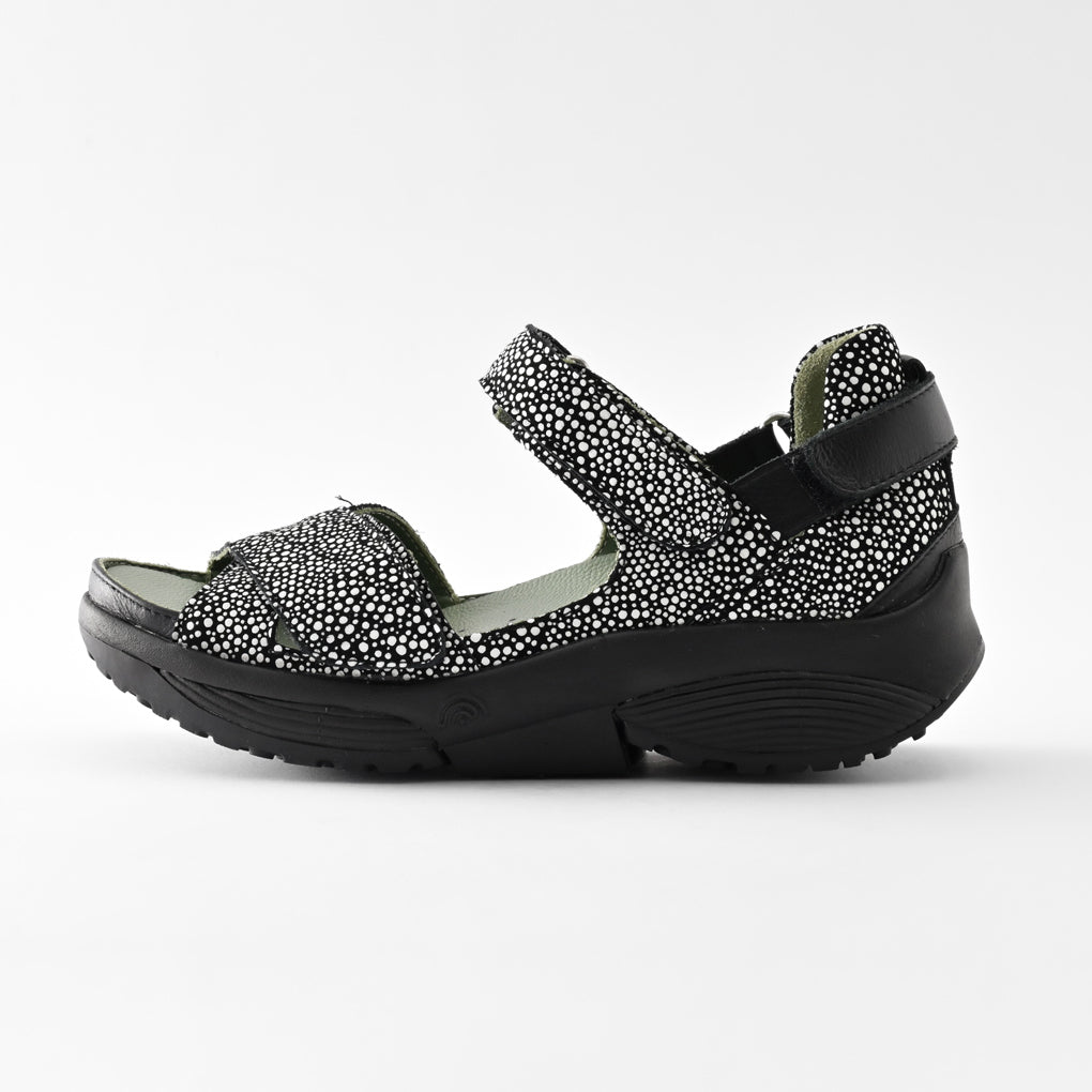 JUNO(ジュノー) 31001 ブラックドット　Stretch Walker