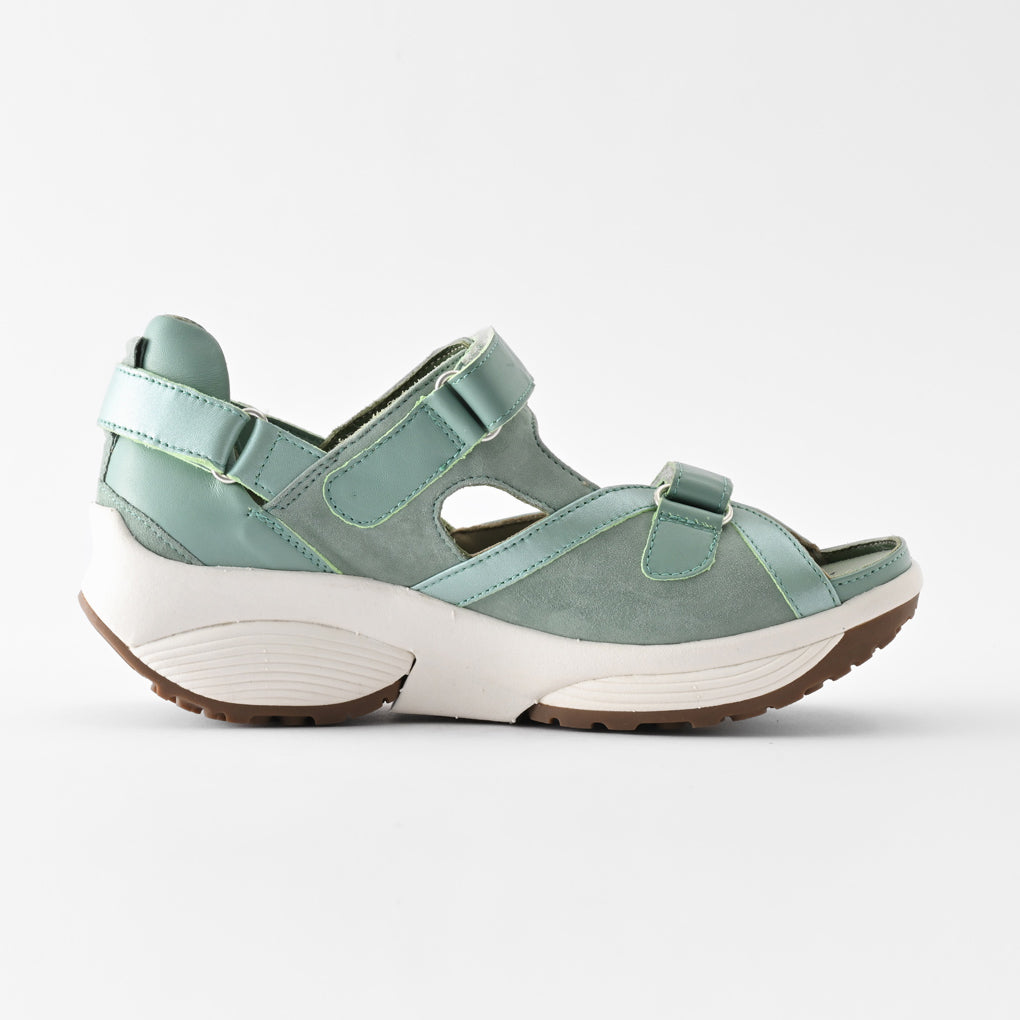 PLUTO(プルート) 30011 セージ　Stretch Walker