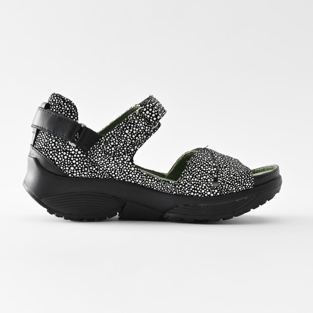 JUNO(ジュノー) 31001 ブラックドット　Stretch Walker