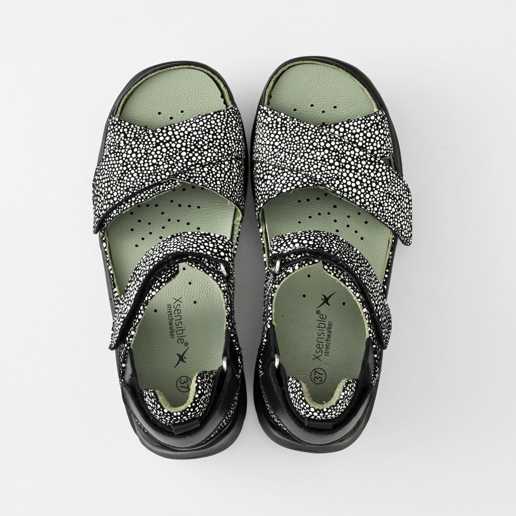 JUNO(ジュノー) 31001 ブラックドット　Stretch Walker