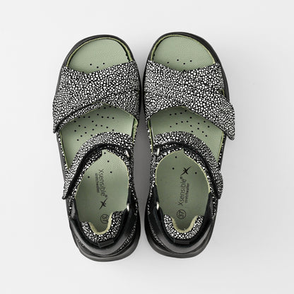 JUNO(ジュノー) 31001 ブラックドット　Stretch Walker