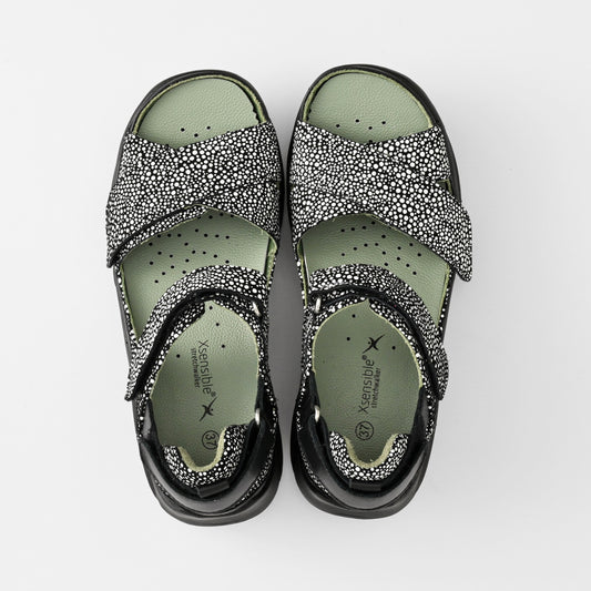 JUNO(ジュノー) 31001 ブラックドット　Stretch Walker