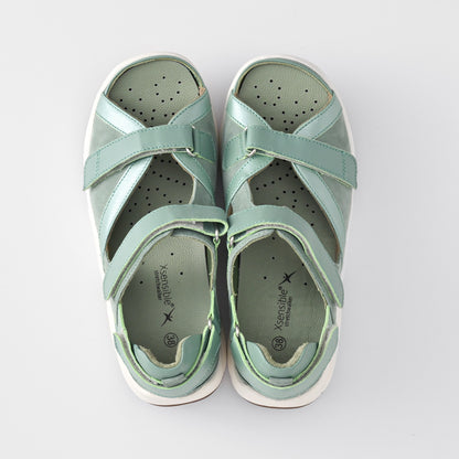 PLUTO(プルート) 30011 セージ　Stretch Walker